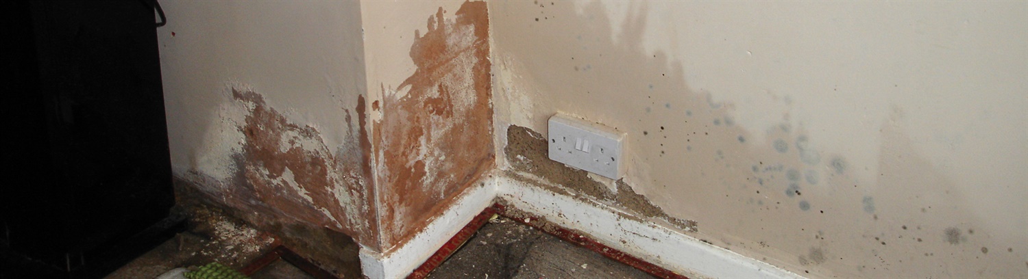 What does rising damp look like? - PCA