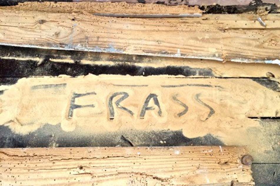 Signs of Woodworm - Frass - PCA