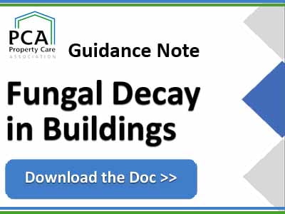Fungal-Decay-in-Buildings-Guidance-Note