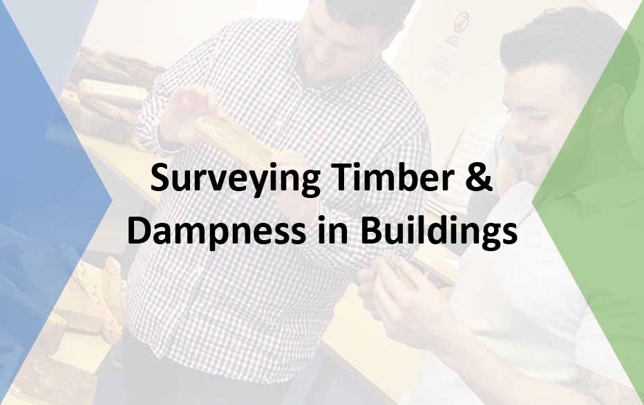 Surveying Timber & Dampness in Buildings