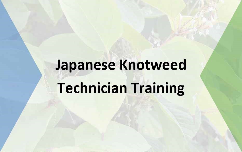 Technician Training – Japanese knotweed