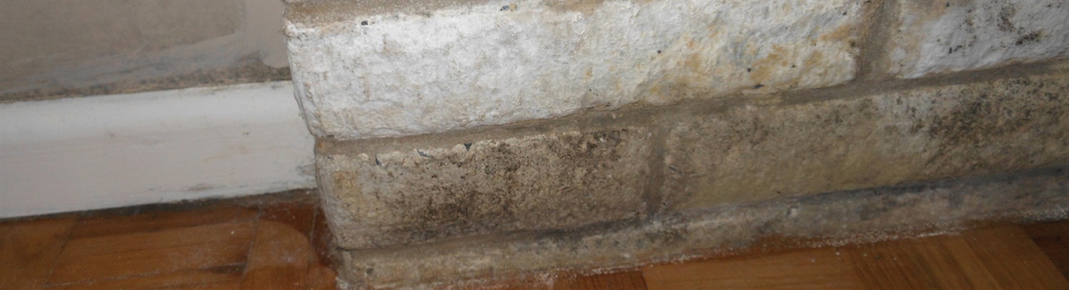 Fixing & treating penetrating damp Banner - Property Care Association