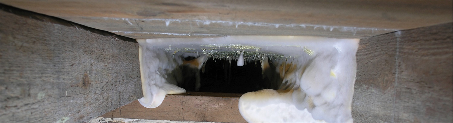 Dry rot treatment - Property Care Association